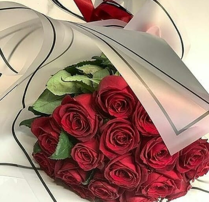 خرید رز هلندی ممتاز سفارش آنلاین رز هلندی ارزان رز قرمز ارزان