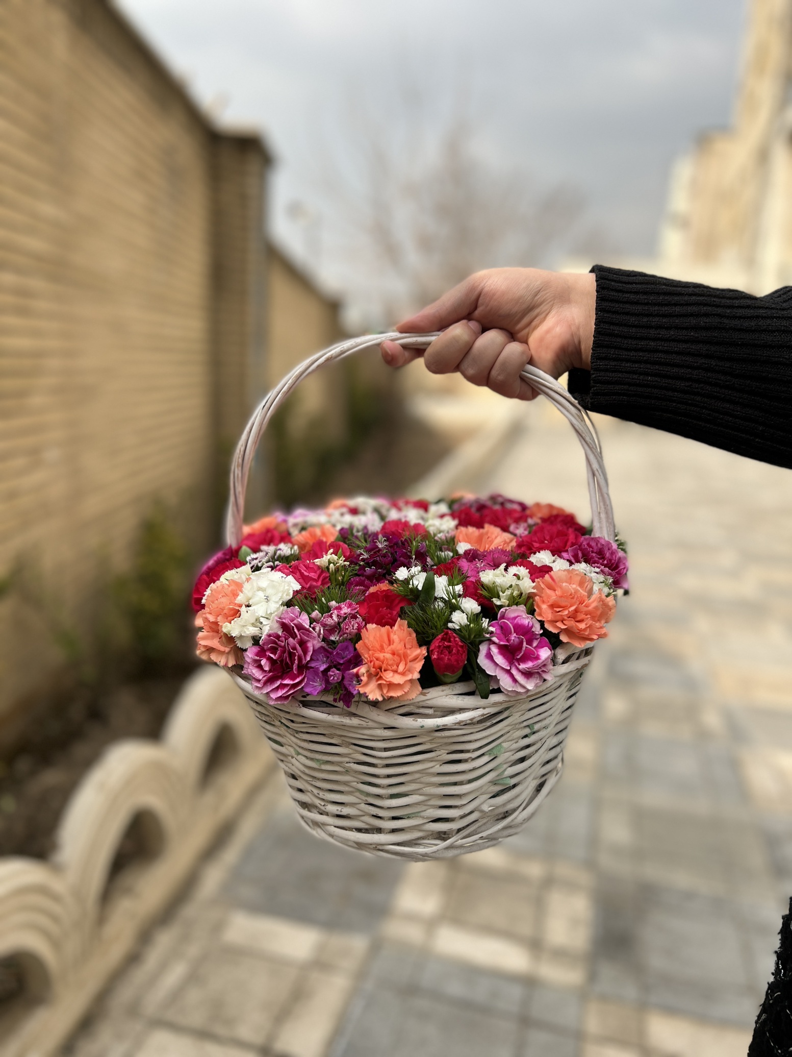  سبد گل تینا 