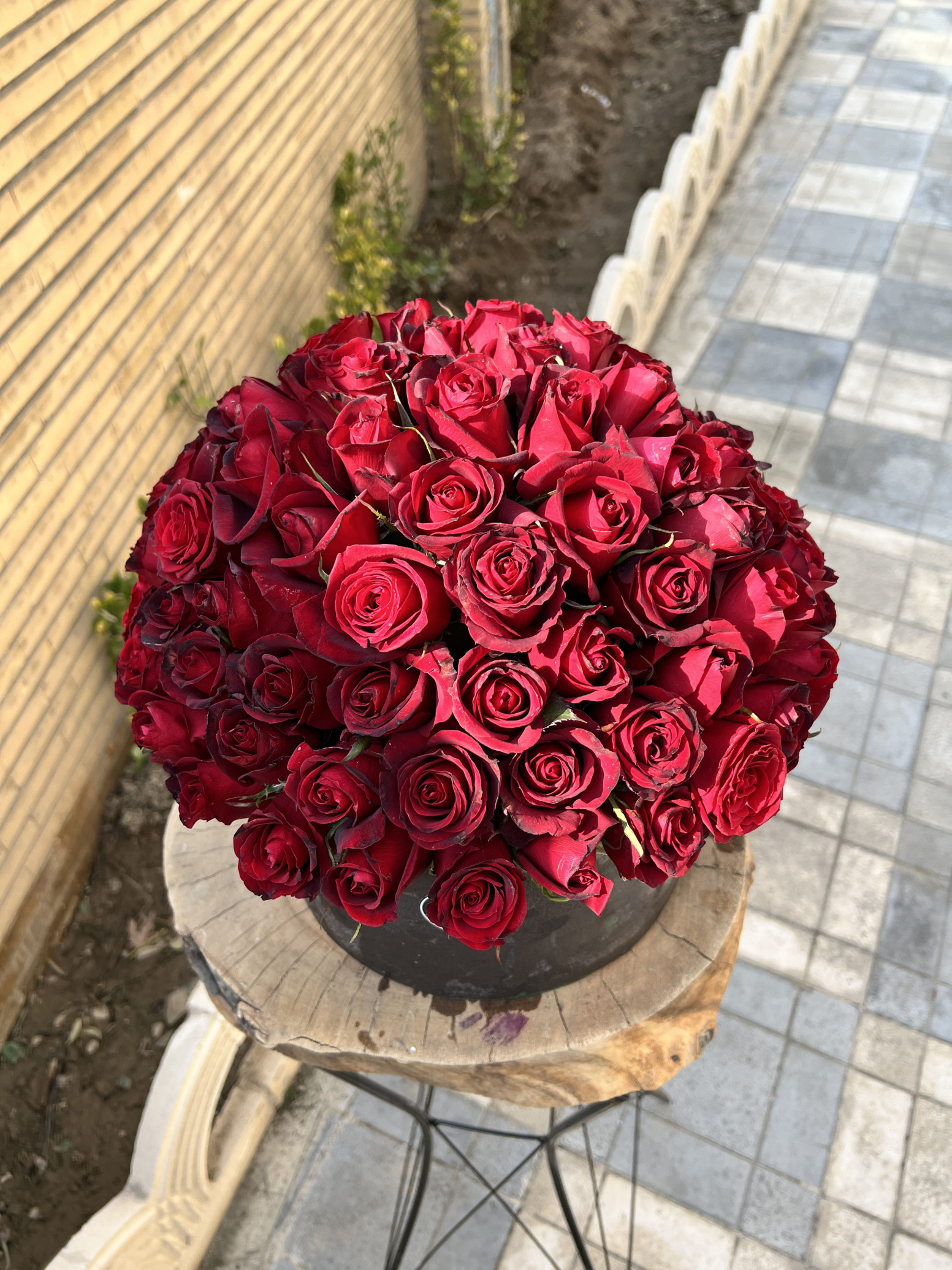 باکس گل رز آرمیتا