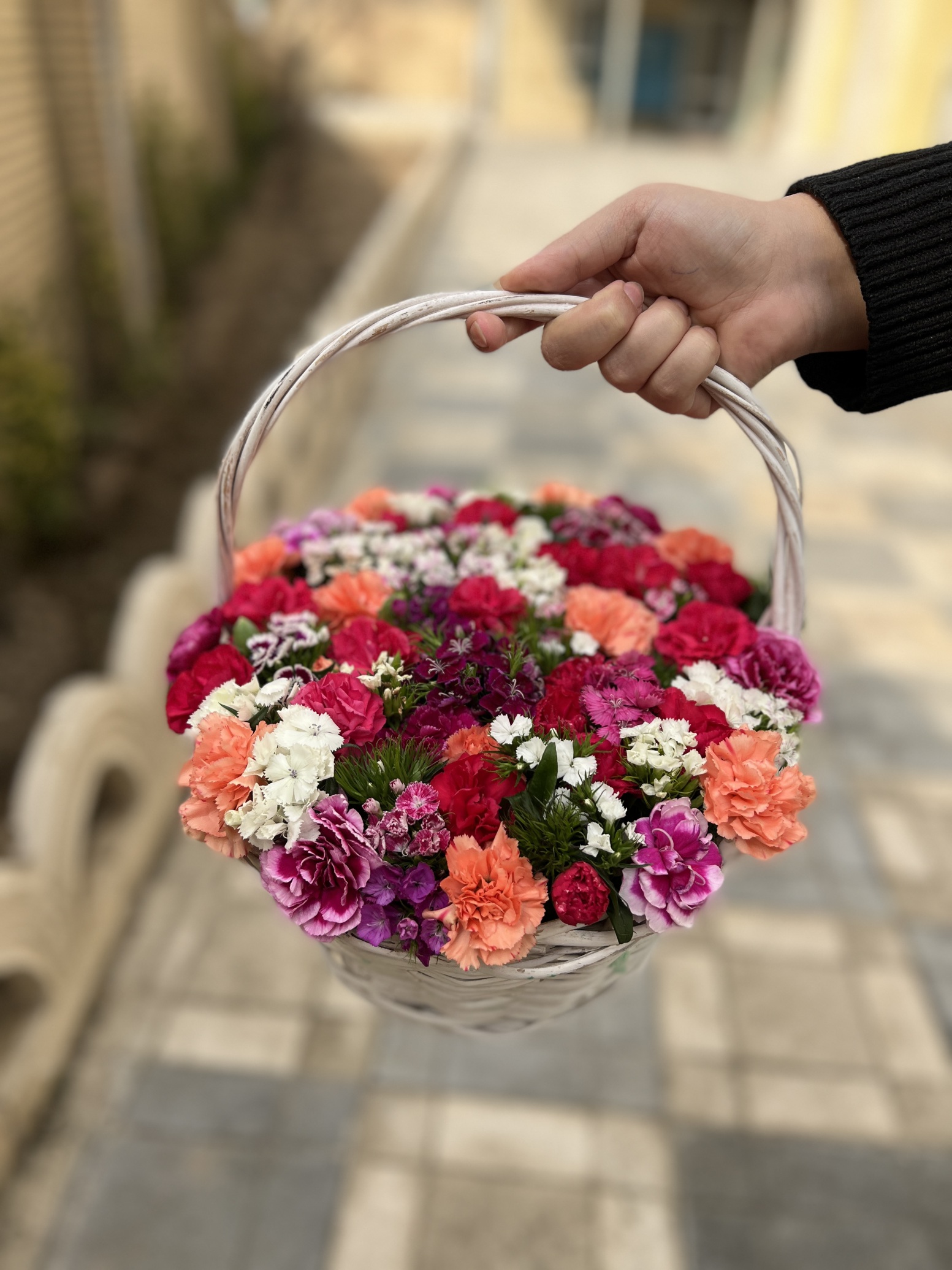  سبد گل تینا 