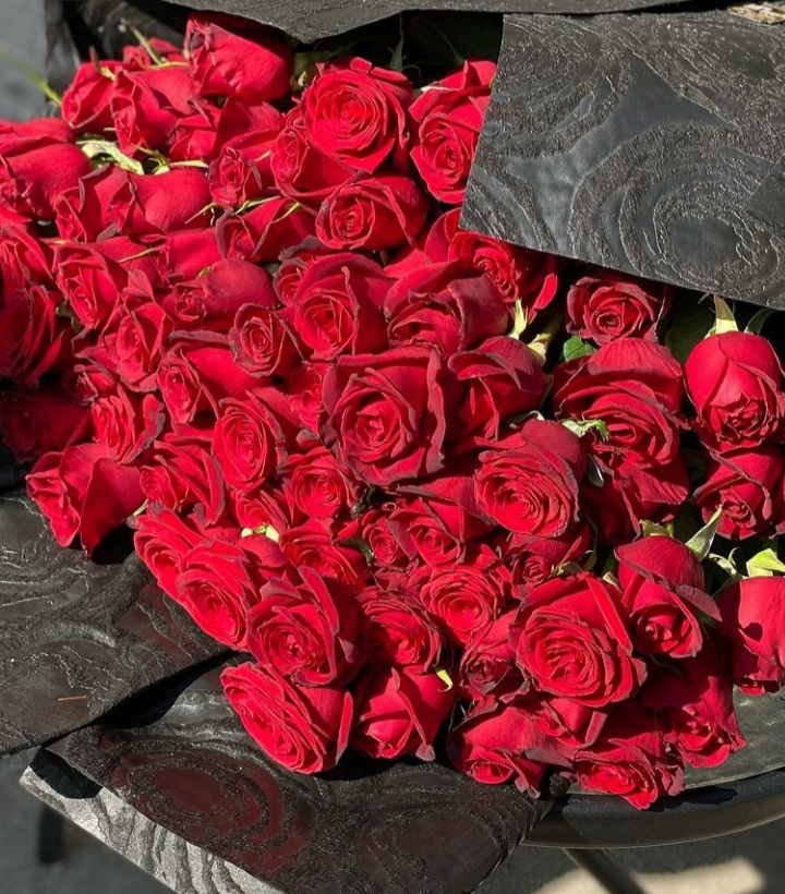  رز هلندی ارزان خرید رز هلندی ممتاز رز 10 هزار تومانی 