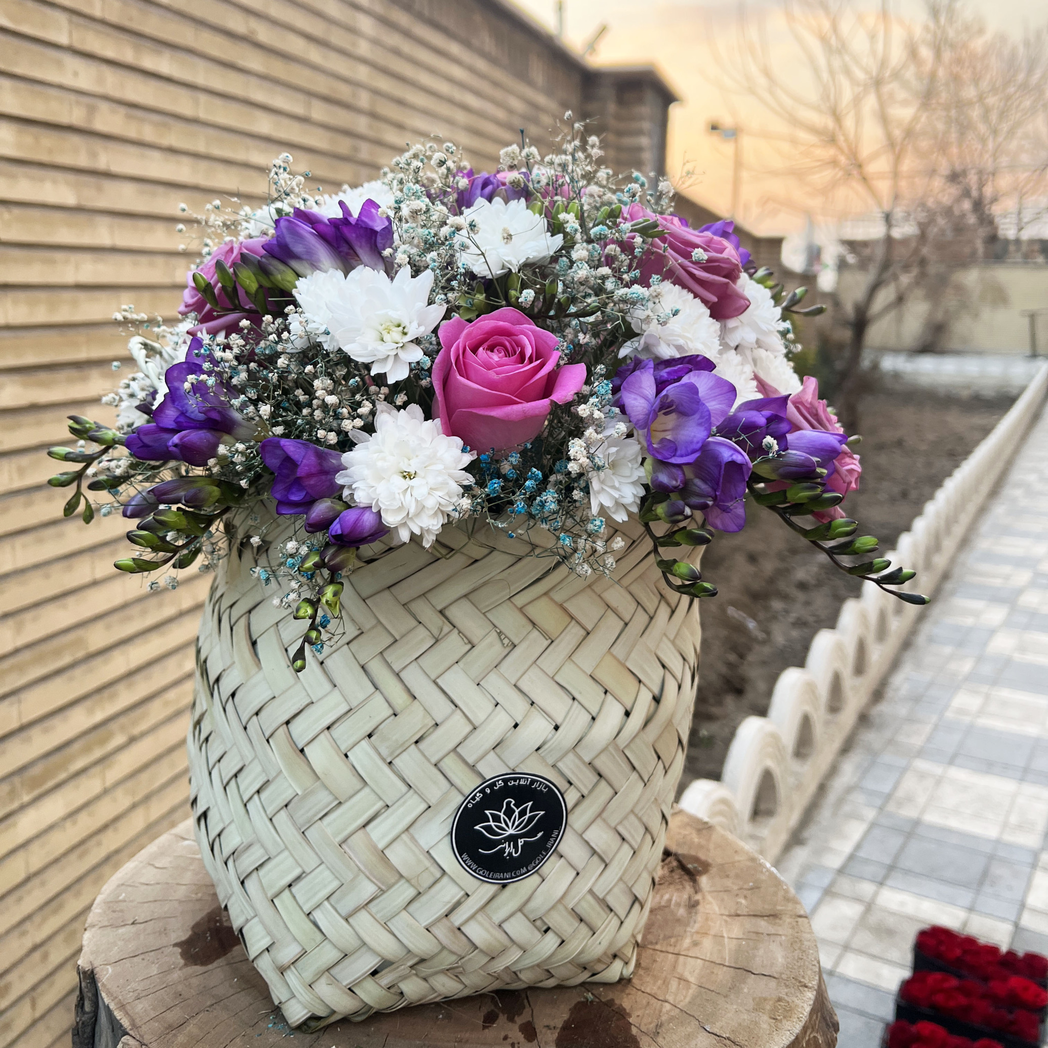  سبد گل آوا 