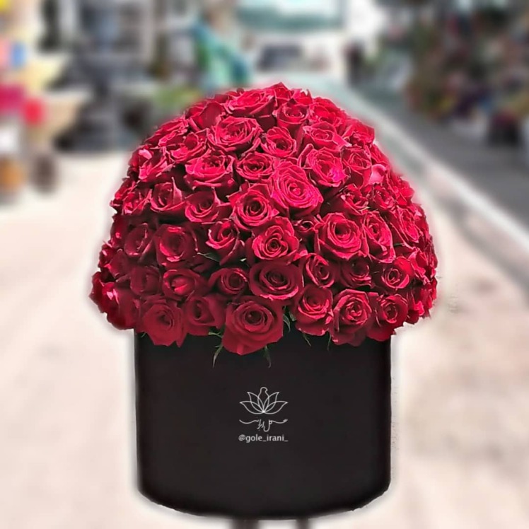 صبر کن ! هدیه دادن گل آدابی داره ، یاد بگیر.