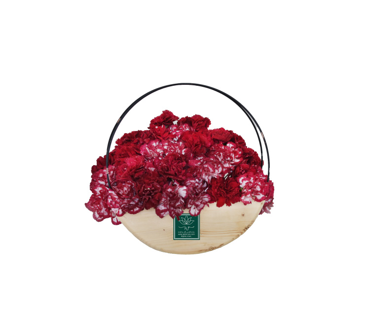 خرید و قیمت باکس گل سروش سفارش باکس گل میخک باکس گل ارزان سفارش باکس گل با ارسال رایگان گل ایرانی بازار گل و گیاه