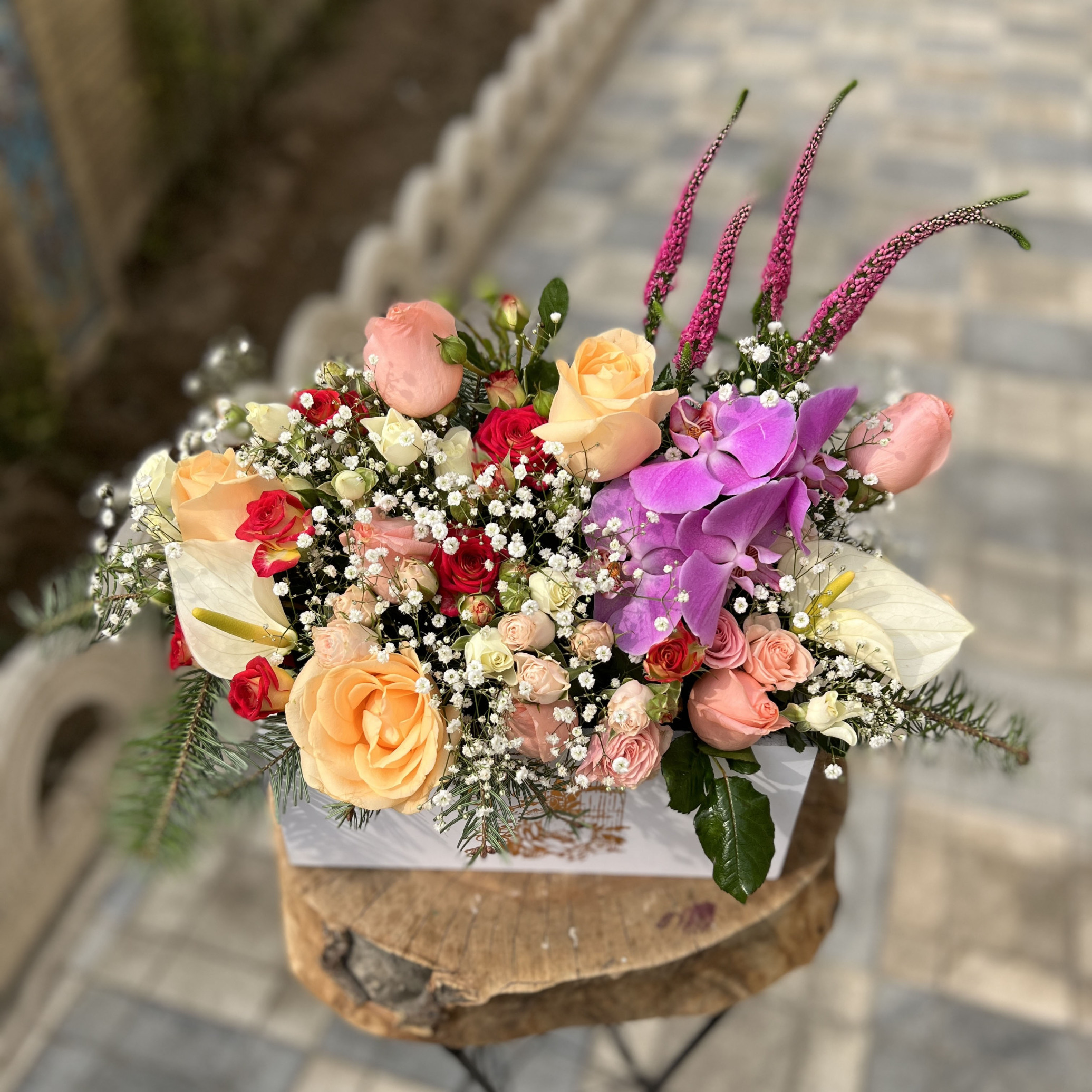 باکس گل ورونیکا