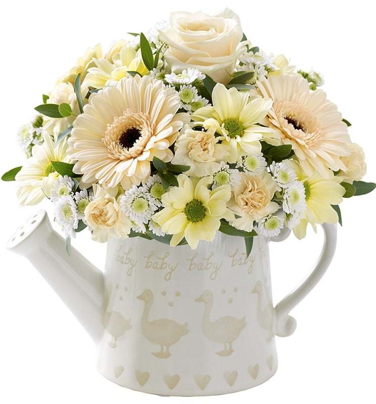  خرید و قیمت گلدان گل دیدار سفارش گلدان گل ژربرا سفارش گلدان گل ارزان قیمت گلدان گل فصل گل ایرانی خرید گلدان گل 