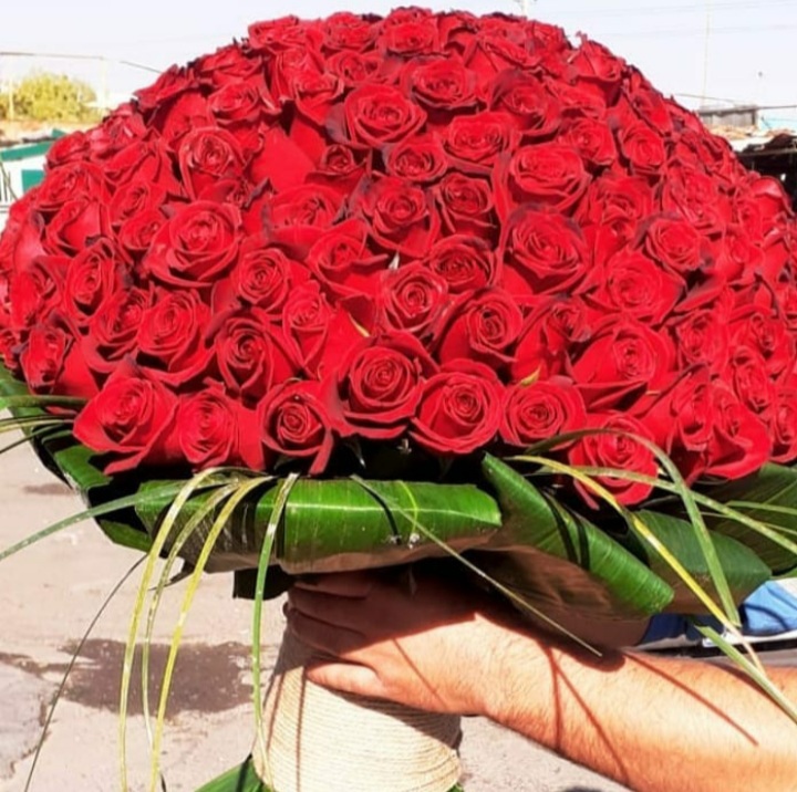  رز هلندی 200 شاخه قیمت رز هلندی رز ارزان قیمت رز هلندی ممتاز 