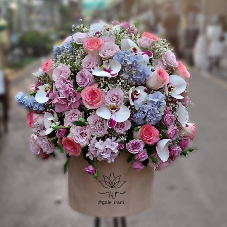 خرید و قیمت باکس گل غوغا باکس گل ارکیده سفارش باکس گل تولد خرید باکس گل با ارسال رایگان قیمت باکس گل ارکیده