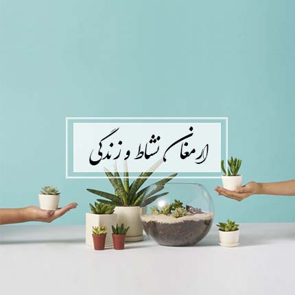 گل ایرانی ارمغان نشاط و زندگی خرید گلدان ریشه ای