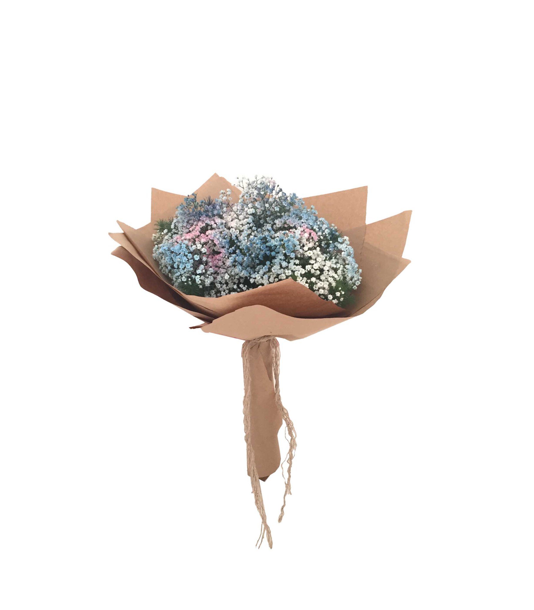  خرید و قیمت دسته گل رعنا سفارش دسته گل ژیپسوفیلا دسته گل ارزان قیمت دسته گل ژیپسوفیلا 