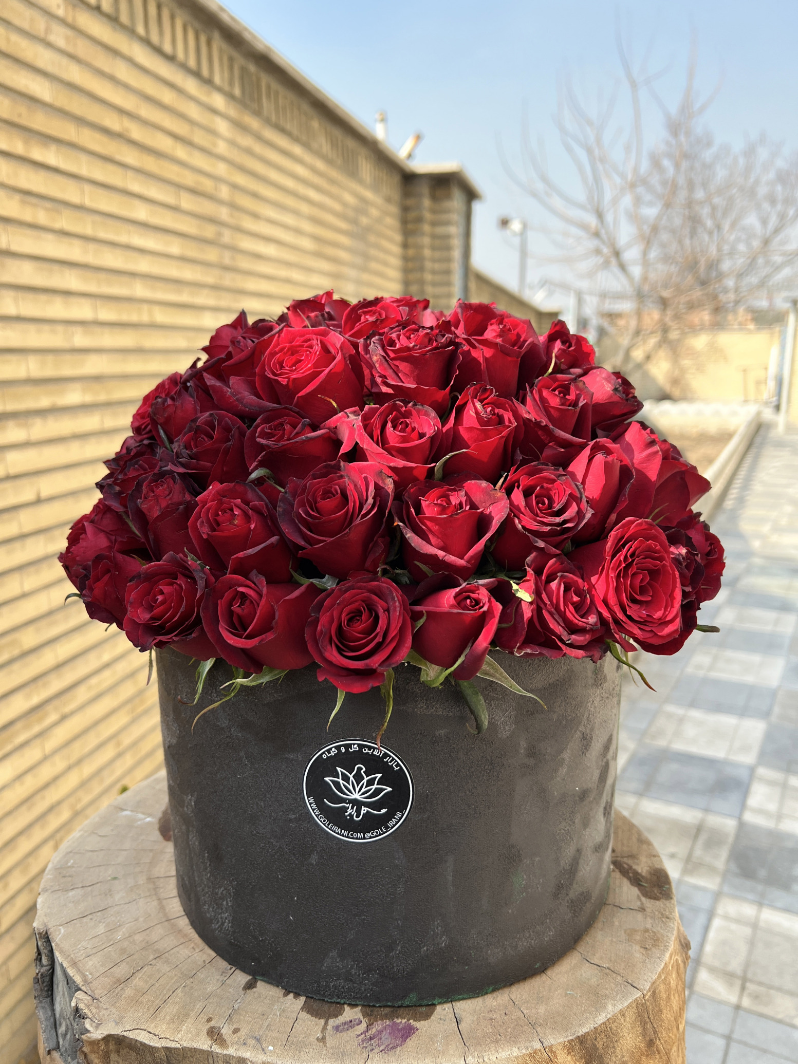  باکس گل رز آرمیتا 